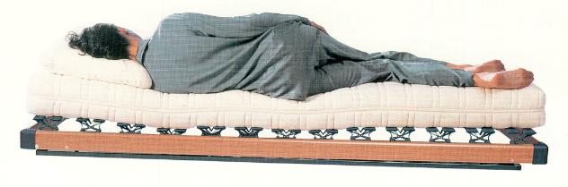 bodylineh.JPG (21154 bytes)